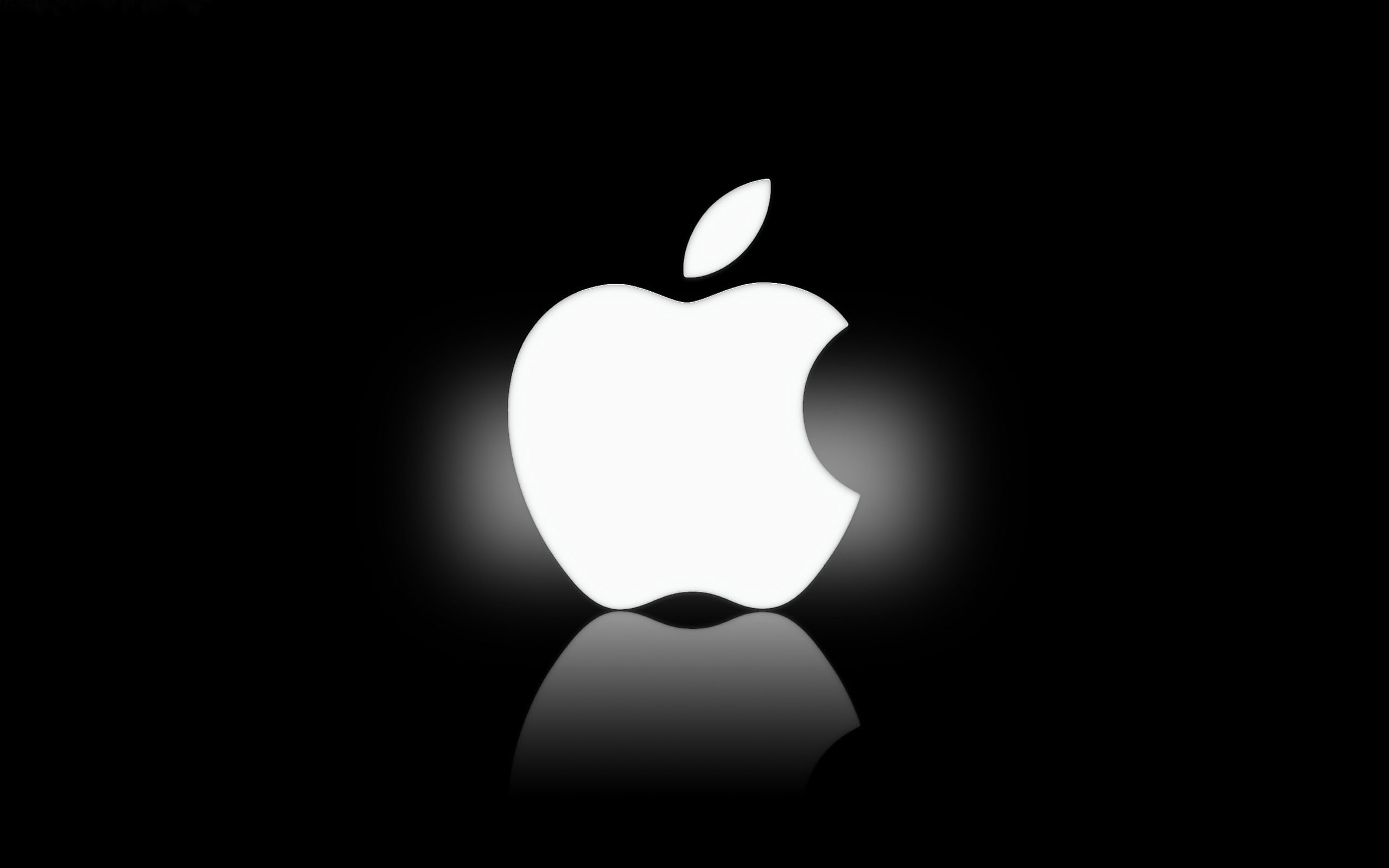 Tampa iDoctors offer Tampa mac repair Tampa apple repair Tampa iphone repair Tampa ipad repair Apple Image